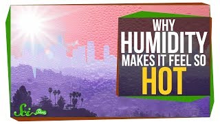 Why Does Humidity Make It Feel Hotter [upl. by Repotsirhc]