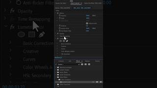 How To Fix Overexposed video In Premiere pro premierepro [upl. by Bourn]