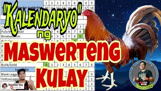 Paano malalaman ang mga Swerteng Kulay ng Manok sa bawat Petsa sa ating Kalendaryo [upl. by Ulphiah]