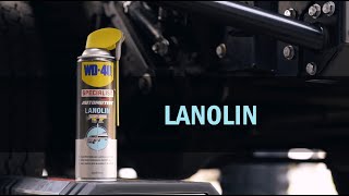 How to use WD40 Specialist Automotive Lanolin [upl. by Tillie485]