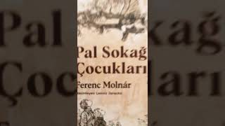 Küçük nemeçek …shourtvideo Pal sokağı çocukları ❤️ [upl. by Arondel]