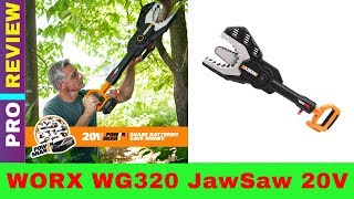 WORX Cordless Chainsaw REVIEW 2019 [upl. by Luis]