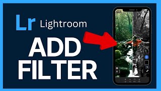 How to Add Filters in Lightroom 2024 [upl. by Maida]