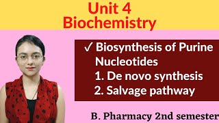 De novo synthesis amp Salvage pathway  Biosynthesis of Purine nucleotides  Biochemistry Unit 4 sem 2 [upl. by Carrnan]