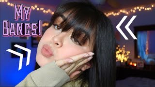 HOW I STYLE MY BANGS EVERYDAY [upl. by Caye]