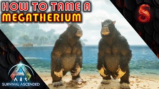 ARK SURVIVAL ASCENDED HOW TO TAME A MEGATHERIUM [upl. by Aldercy202]