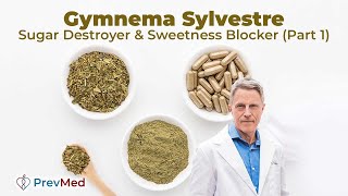 Gymnema sylvestre Sugar Destroyer amp Sweetness Blocker Part 1 [upl. by Yerahcaz364]