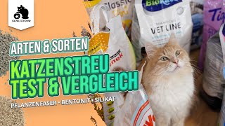 🔥Katzenstreu TestVergleich  Testsieger  beste Katzenstreu ist eine Klumpstreu Unsere Erfahrungen [upl. by Neelsaj166]