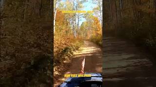 Fall colors of Chequamegon National Forest atv wisconsin utv arcticcat wisconsinlife atvutv [upl. by Leopoldeen26]