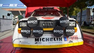 12° Rally Legend 2014  Rally Village  Verifiche Tecniche  PURE SOUND  HD [upl. by Lyrrad937]