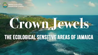 Crown Jewels The Ecologically Sensitive Areas of Jamaica  A Short Documentary [upl. by Leunamesoj794]