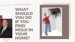 What Should You Do If You Find Mold in Your Home  Toxic Mold Attorney [upl. by Larsen]