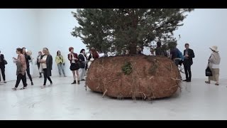 56e Biennale de Venise  Céleste BoursierMougenot Le Pavillon Français [upl. by Wehtam669]