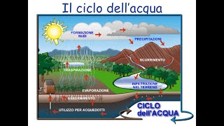 Lacqua e il ciclo dellacqua [upl. by Ahtar88]