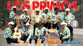 LOS PRIMOS DE ILLESCAS POPURRI DE CUMBIAS EN VIVO [upl. by Aeila287]