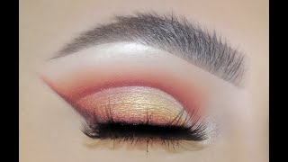 BH COSMETICS X SYLVIA GANI PALETTE TUTORIAL [upl. by Buckingham258]