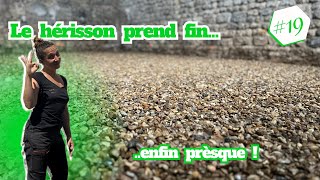 EP 19  La fin du HERISSON est proche [upl. by Prent703]