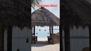 Bangaram Island travel nature shortfeed beech island bangaram lakshadweep [upl. by Nevag236]