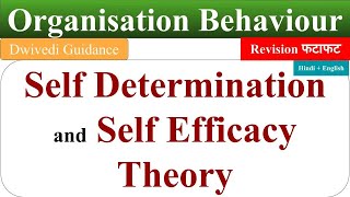 Self Efficacy Theory of motivation in hindi self determination theory of motivation OB revision [upl. by Souvaine]