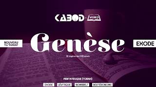 « Genèse »  LAncien Testament  La Sainte Bible audio VF Complète [upl. by Vivia]