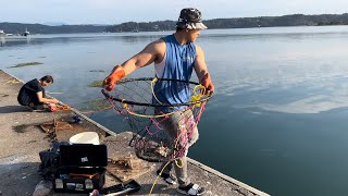 Crabbing You won’t BELIEVE how much crabs I caught off this dock Catch amp Cook [upl. by Aleibarg]