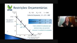 Restrição Orçamentária amp Escolha do Consumidor [upl. by Edelstein451]