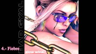 Bad Gyal  Slow Wine Mixtape  Full Album 2016 [upl. by Staci858]