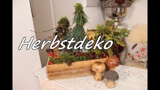 Herbstdeko DIY quot Miniwäldchen  Bärbel´s Wohn amp Deko Ideen [upl. by Dwyer279]