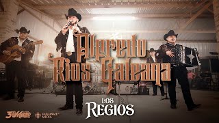 Grupo Los Regios  Alfredo Ríos Galeana En Vivo [upl. by Leffert625]