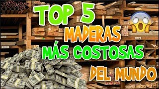 top 5 maderas mas caras del mundo [upl. by Etnaid30]