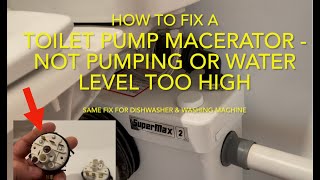 How to Fix a Toilet Macerator not Pumping  Water level too high [upl. by Ahcire]