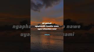 Amablesser Lyrics pleaseSubscribe mlindo djmaphorisa [upl. by Nosnev818]