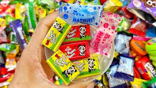 Boom Boom Panda Bubble gum  Cute Rainbow Chunky CandiesLollipops and Chocolates Unpacking  ASMR [upl. by Weinstein867]