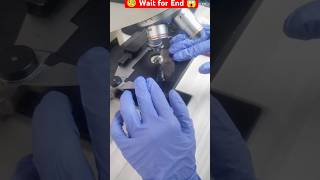 Microscopic World 🌎😱🧐 shortvideo lab labtechinicians viralvideo [upl. by Yrogiarc296]