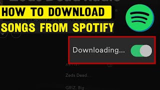 How To Download Songs From Spotify  Full Guide stepbystep [upl. by Schulman]