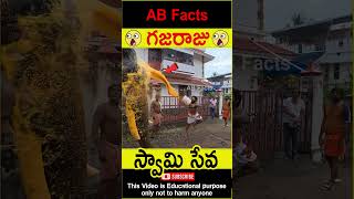 🐘గజరాజు🐘 Elephant going to temple telugufacts animals god facts shorts youtubeshorts abfacts [upl. by Eecyal]