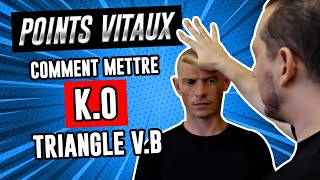 Comment faire un KO avec 4 POINTS DE PRESSION à la TÊTE Kyusho Jitsu [upl. by Lati]