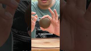 MENCOBA BUAT DORODANGO 😤 [upl. by Nus8]