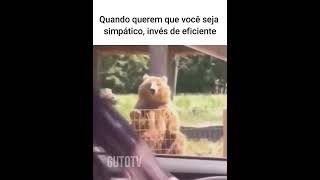 Tem dia que eu acordo nesse humor animaisdublados memes humor animaisengracados [upl. by Nolad]