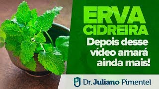 ERVA CIDREIRA DEPOIS DESTE VÍDEO VOCÊ AMARÁ AINDA MAIS [upl. by Addiel]