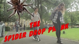 The Spider Drop Prank  Episode 3  DIGITAL SLUSH [upl. by Zuckerman]