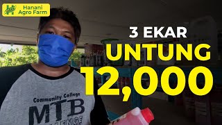 part 2  Jom kira berapa pendapatan en Ahmad dgn berbekalkan sawit seluas 3 ekar [upl. by Eisele155]