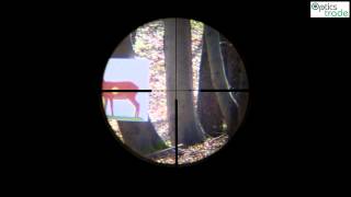 Delta Optical Titanium 2516x50 SF reticle 2D subtensions [upl. by Eikcaj853]