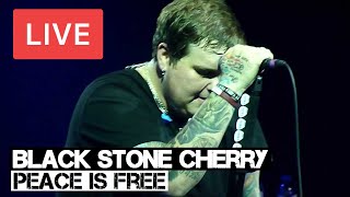 Black Stone Cherry  Peace is Free Live in HD  Wembley Arena London 2011 [upl. by Pirbhai]