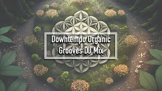 Downtempo Organic Grooves DJ Mix  Chill Music  Electronica [upl. by Oivalf]