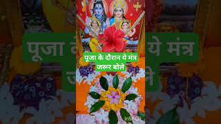 पूजा के दौरान ये मंत्र जरूर बोले omnamahshivaya pradeepmishra shivpuran upay motivation [upl. by Lalo532]