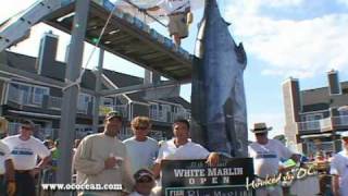 White Marlin Open 2010  Day 2  quotGrander Blue amp 97 lb Whitequot [upl. by Santana]