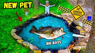 Adding BIG BASS to My Micro Pond Pond Renovation [upl. by Etteniuq905]