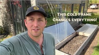 My Syntropic Cold Frame Garden [upl. by Blaine]