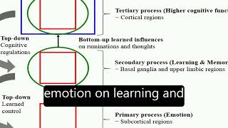 The Influences of Emotion on Learning and Memory  RTCLTV [upl. by Vincenz]